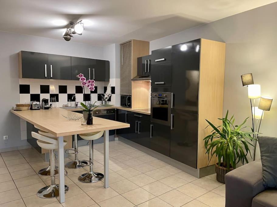 L'Ideal Cosy-Wifi-Netflix Et Garage Vienne (Isere) Exterior foto