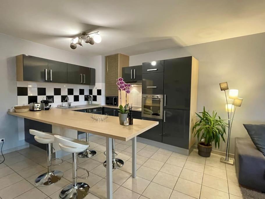 L'Ideal Cosy-Wifi-Netflix Et Garage Vienne (Isere) Exterior foto
